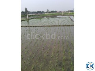 Private Land sale at Dhaka