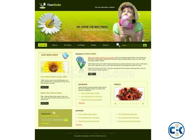 Complete Smart Website with reasonable price large image 0