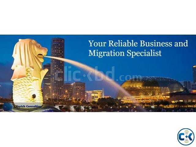 Business immigration consultant large image 0