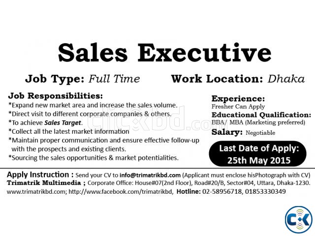 Sales Marketing Executive large image 0