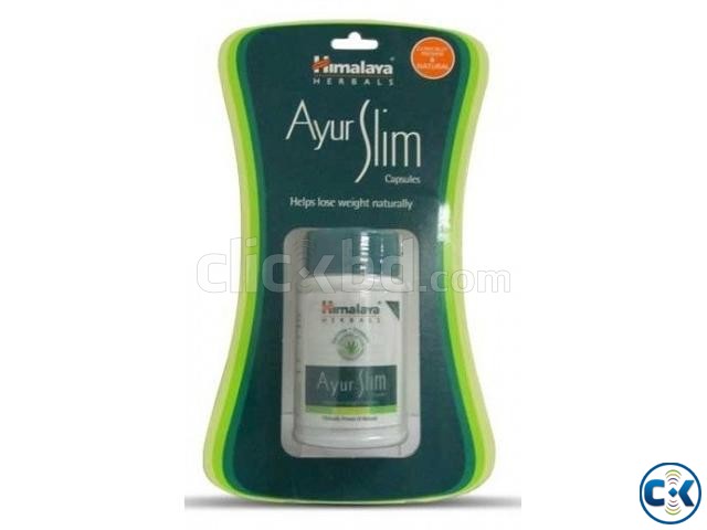 Himalaya Ayurslim Capsules large image 0