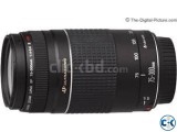 Canon Ultrasonic EF 75-300mm USM DSLR Camera Lens