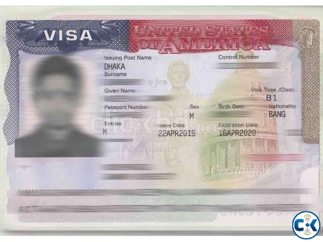 USA Visit Visa 5 years multiple  large image 0