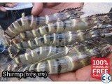 Shrimp Black Tiger -Fresh Fish BD