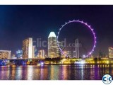 Malaysia DP-10 Visa With ESL Job Feed