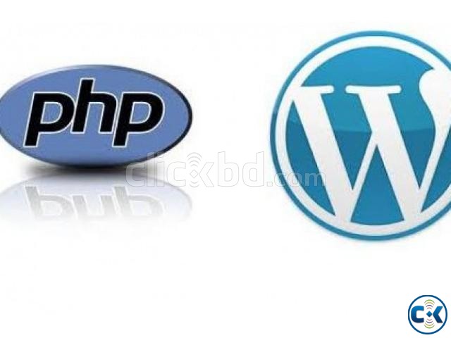 Web Developer PHP WordPress  large image 0