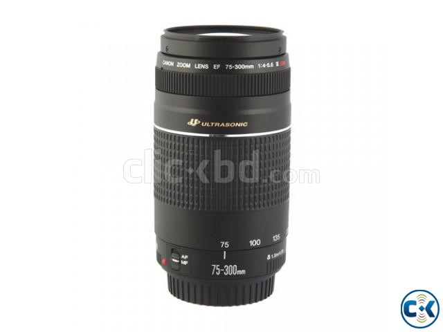 Canon Ultrasonic EF 75-300mm Lens large image 0