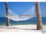 Hammock