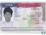 USA Visit Visa