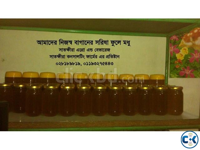 Satkhira Honey large image 0