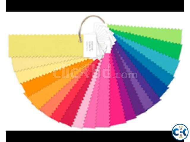 PANTONE FASHION HOME Nylon Brights TN FFN100  large image 0