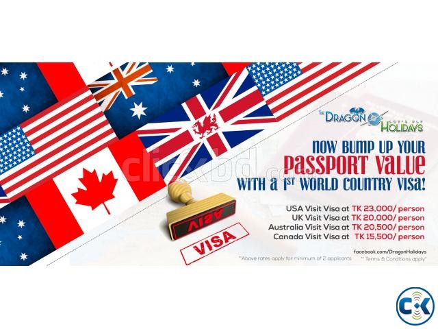 5 Year Multiple USA Visa in 10 days large image 0