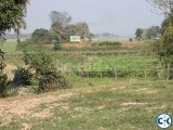 Plot at Western Side of Mirpur National Zoo