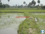 80 Bigha LAND for SALE