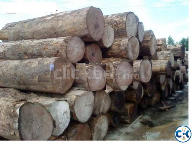 Mahogany logs large image 0