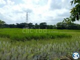 Land for sale Barisal