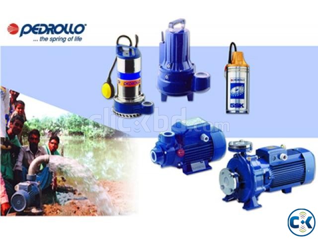 Pedrollo water pump large image 0