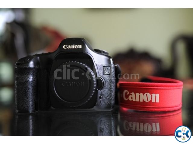 Canon 5D full frame large image 0