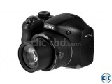 Sony Cyber-shot DSC-H100 21x High Optical Zoom Camera