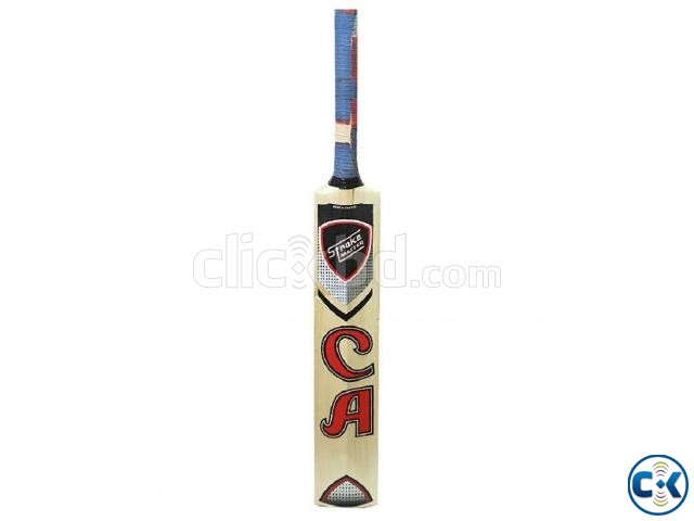 CA Cricket Bat Stroke Master large image 0