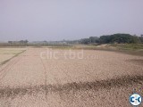 Plot for sale Dhamrai