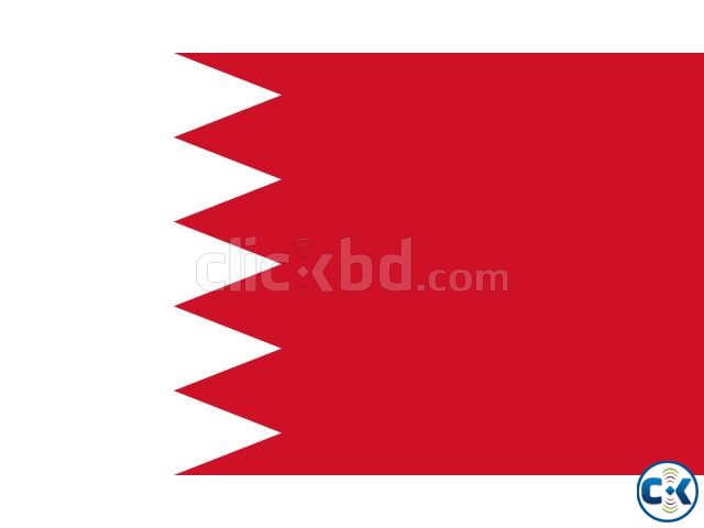 Bahrain construction labour visa large image 0