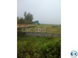 land for sell in moulvibazar through cheap rate