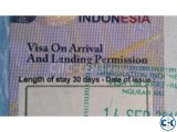 Tourist Visa in Indonesia Visa