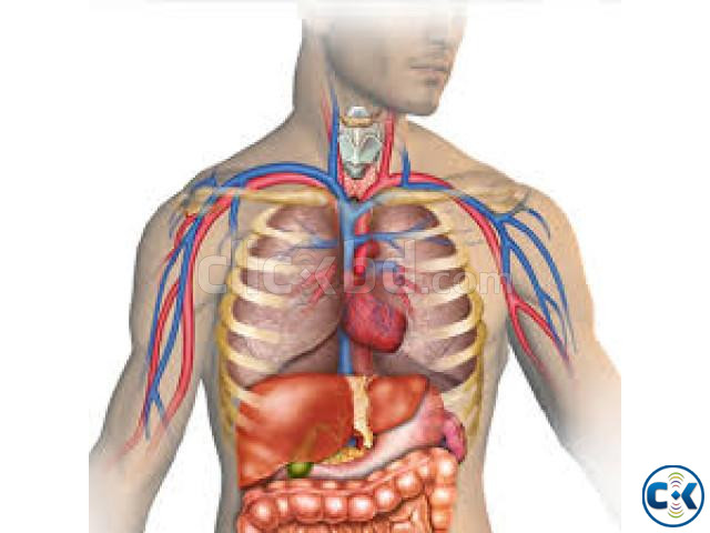 BIOLOGY TEACHER_FOR_AS A2-LEVEL large image 2