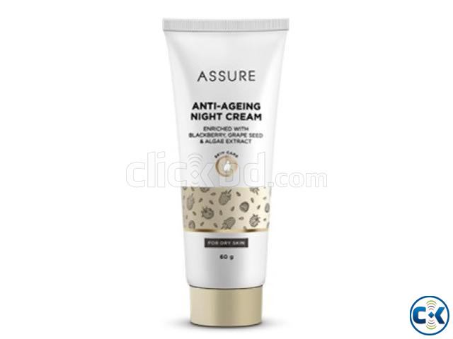 ASSURE ANTI AGEING NIGHT CREAM large image 0