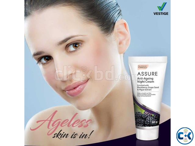 ASSURE ANTI AGEING NIGHT CREAM large image 3