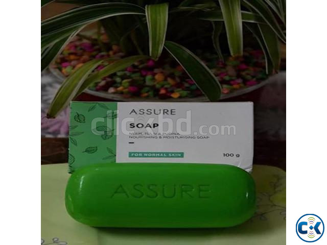 Assure soap large image 0