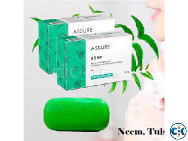 Assure soap large image 2