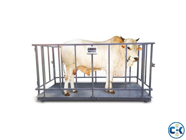 Digital Animal Weighing Scale SS Plate large image 0