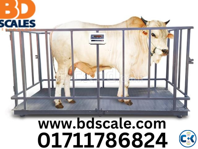 Digital Animal Weight Scale SS Plate large image 0