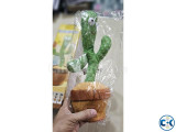 Small image 4 of 5 for Dancing Talking Cactus Toy | ClickBD