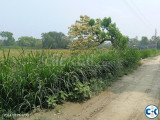 Road Attach High Land for Sale at Dhamrai