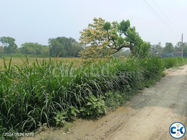 Road Attach High Land for Sale at Dhamrai large image 0