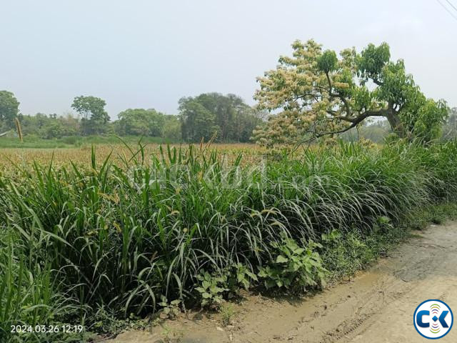 Road Attach High Land for Sale at Dhamrai large image 1