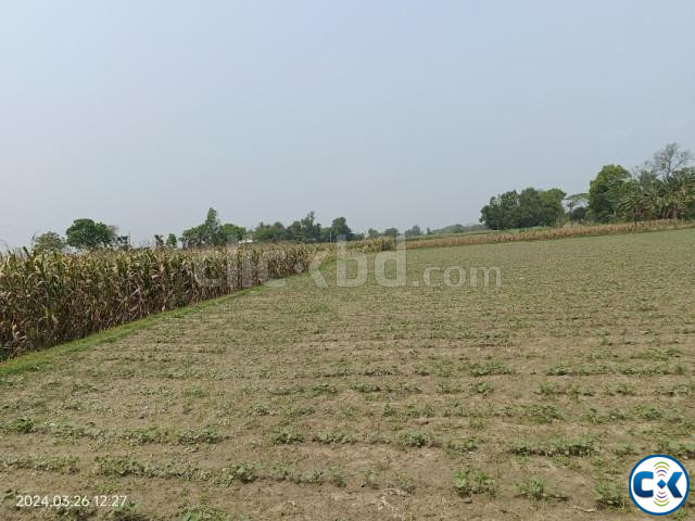 Road Attach High Land for Sale at Dhamrai large image 2