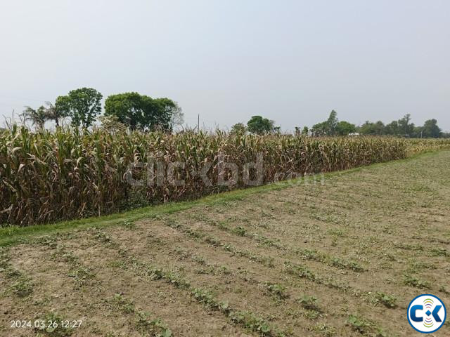 Road Attach High Land for Sale at Dhamrai large image 3