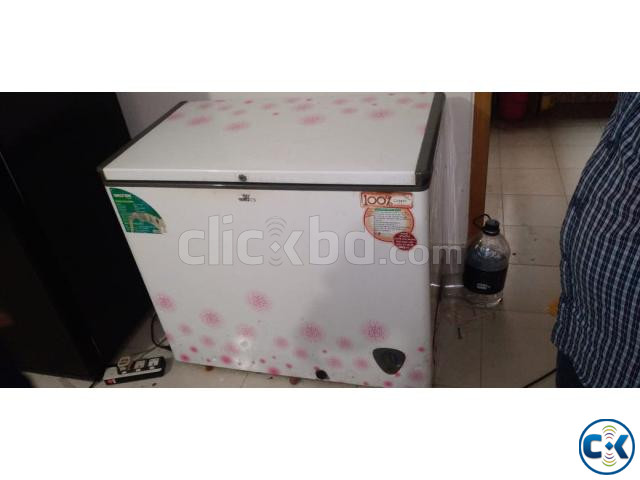 Walton WCF-2T5-0101-FHXX-XX Freezer Price In BANGLADESH large image 1