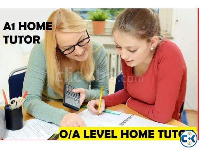 EDEXCEL O LEVEL HOME TUTOR large image 0