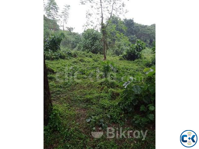 2 Plots_2.5 Katha Each_for Sale Navana Valley Project Ashulia large image 0