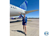 Cabin crew -Airlines Jobs female or male Candidate