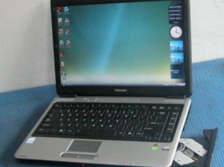 toshiba L-300