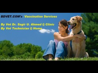 Vaccination of Dog and Cat