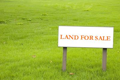 Land For Sale Low Price large image 1