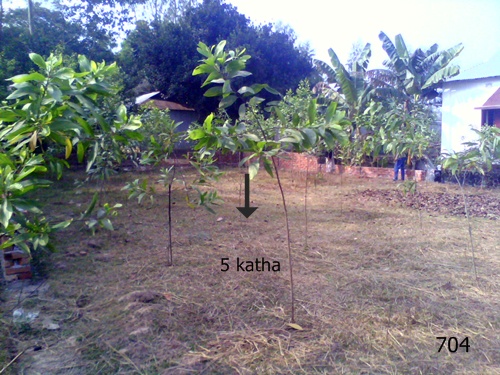 5 Katha Plot Sell beside the Road large image 1