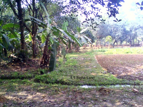 Fresh 4.5 Bigha Land Sell beside the Road large image 0